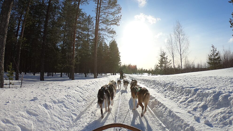 MRI landscape for Website with white space Instagram Post Square 1